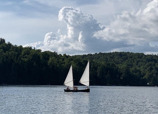 27 Stearns Ave, Wilmington, VT 05363 - water view with a forest