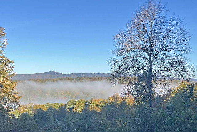 27 Stearns Ave, Wilmington, VT 05363 - view of mountain backdrop featuring a heavily wooded area