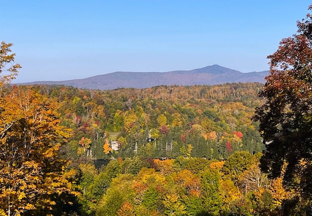 27 Stearns Ave, Wilmington, VT 05363 - mountain view with a heavily wooded area