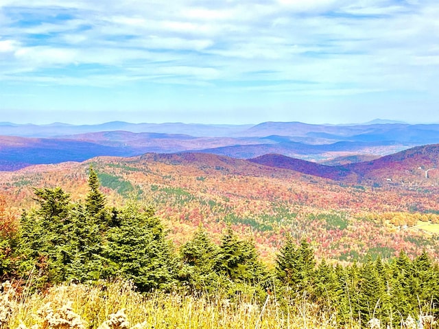 27 Stearns Ave, Wilmington, VT 05363 - view of mountain backdrop