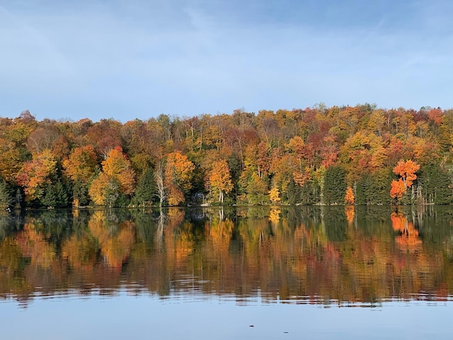 27 Stearns Ave, Wilmington, VT 05363 - water view featuring a forest