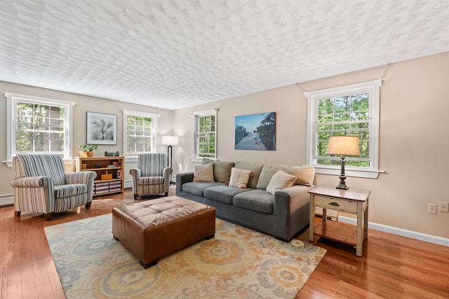6 Bona Vista Dr, Bow, NH 03304 - living room with wood finished floors, baseboards, baseboard heating, and a baseboard heating unit