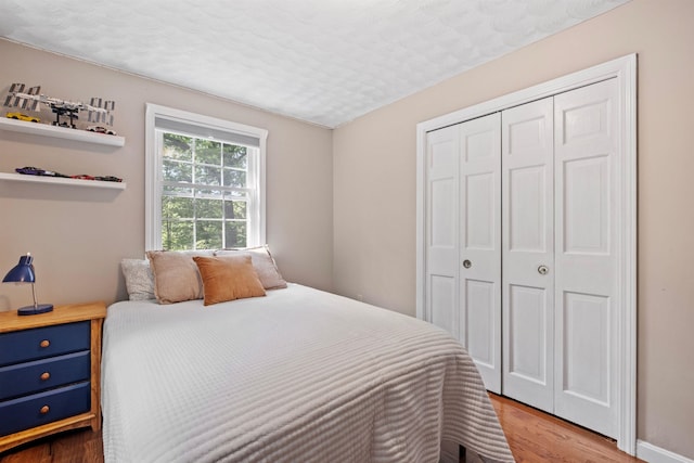 6 Bona Vista Dr, Bow, NH 03304 - bedroom featuring wood finished floors and a closet