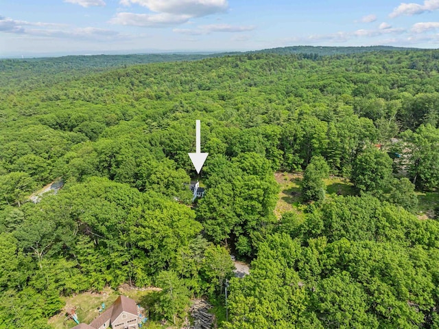 6 Bona Vista Dr, Bow, NH 03304 - aerial view of a forest