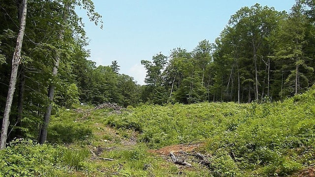 230-022 Thurlow St, Plymouth, NH 03264