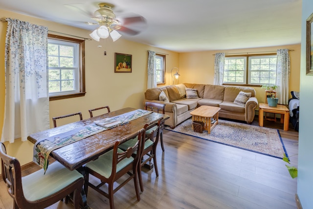 10 Mountain View Ter, Plymouth, NH 03264 - dining room with ceiling fan and wood finished floors