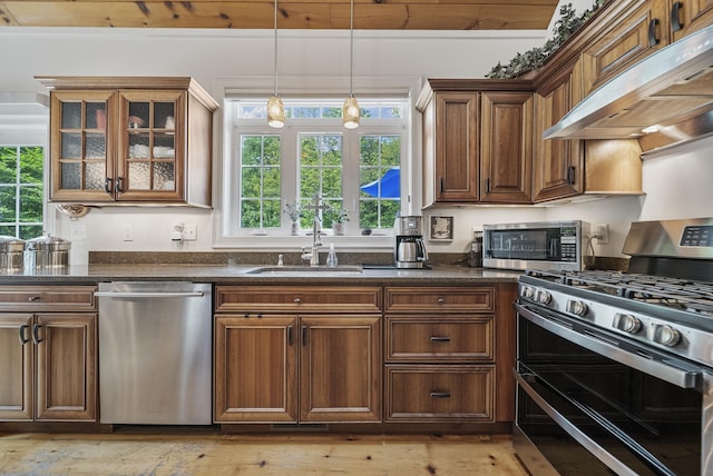 109 Temple Rd, Wilton, NH 03086 - kitchen featuring stainless steel appliances, extractor fan, a sink, and healthy amount of natural light