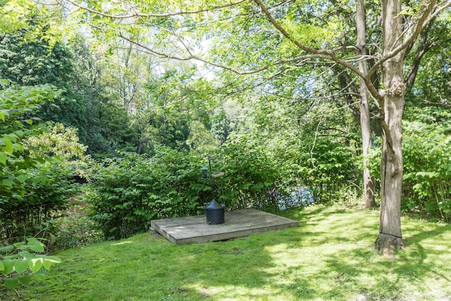 191 Washington St Unit 1, Dover, NH 03820 - view of grassy yard with a forest view