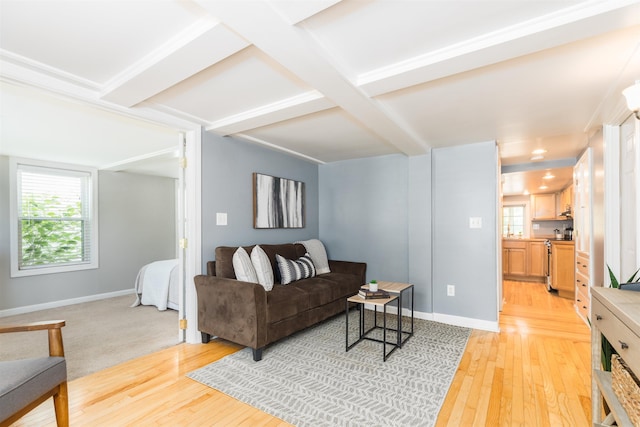 191 Washington St Unit 1, Dover, NH 03820 - living area with baseboards, light wood-style floors, beamed ceiling, and coffered ceiling