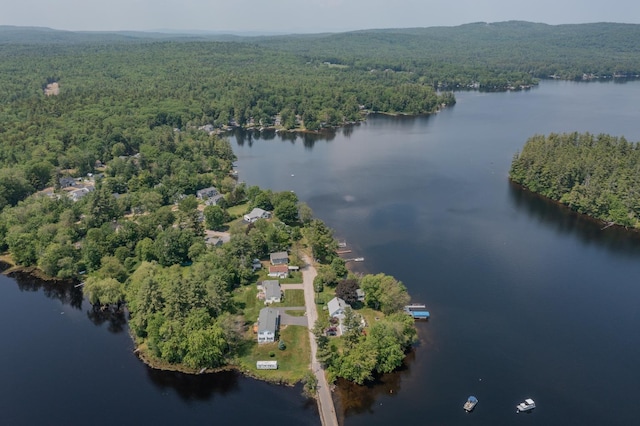 42 Bennett Bridge Rd, Northwood, NH 03261 - aerial overview of property's location featuring a heavily wooded area and a large body of water
