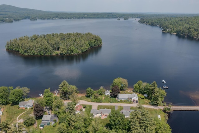 42 Bennett Bridge Rd, Northwood, NH 03261 - drone / aerial view of a nearby body of water and a forest