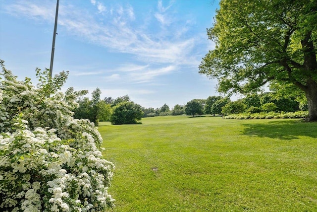 98 Sugar Maple Dr, Swanton, VT 05488 - view of grassy yard