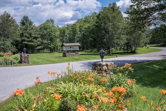 210 Field Rd Unit 44, Stowe, VT 05672 - surrounding community with a yard