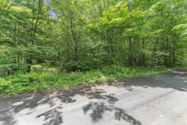 00 Franks Way, Middlesex, VT 05602
