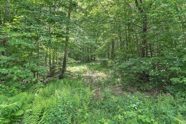 00 Franks Way, Middlesex, VT 05602