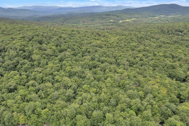 00 Franks Way, Middlesex, VT 05602