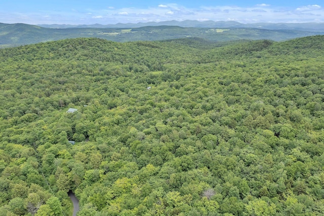 00 Franks Way, Middlesex, VT 05602