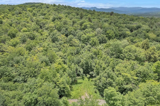 00 Franks Way, Middlesex, VT 05602