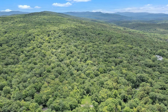 00 Franks Way, Middlesex, VT 05602
