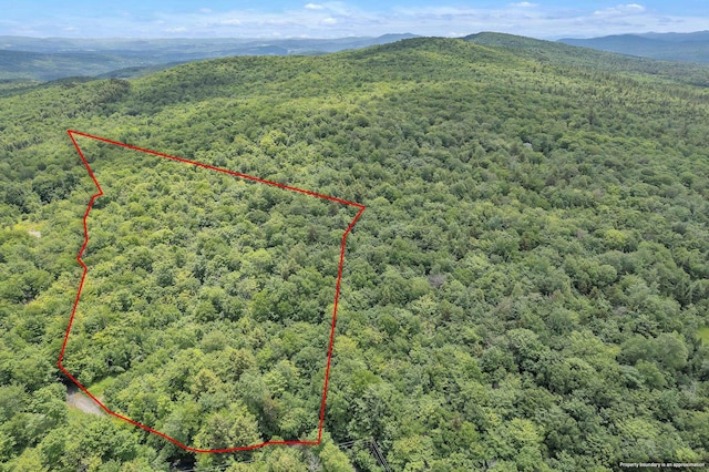 00 Franks Way, Middlesex, VT 05602