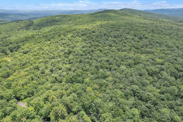 00 Franks Way, Middlesex, VT 05602