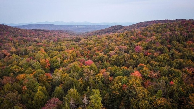 00 Franks Way, Middlesex, VT 05602