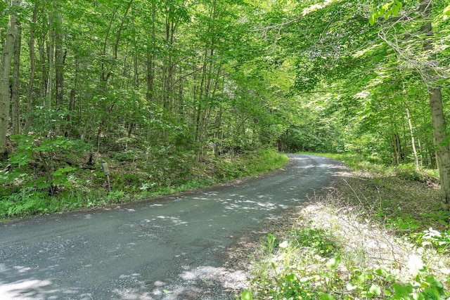 00 Franks Way, Middlesex, VT 05602