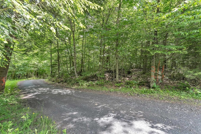 00 Franks Way, Middlesex, VT 05602