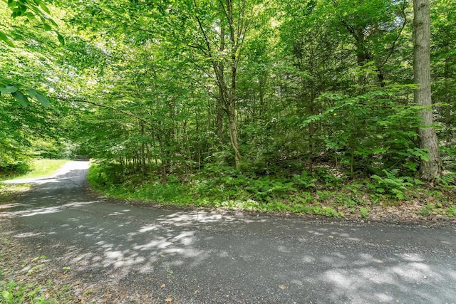 00 Franks Way, Middlesex, VT 05602