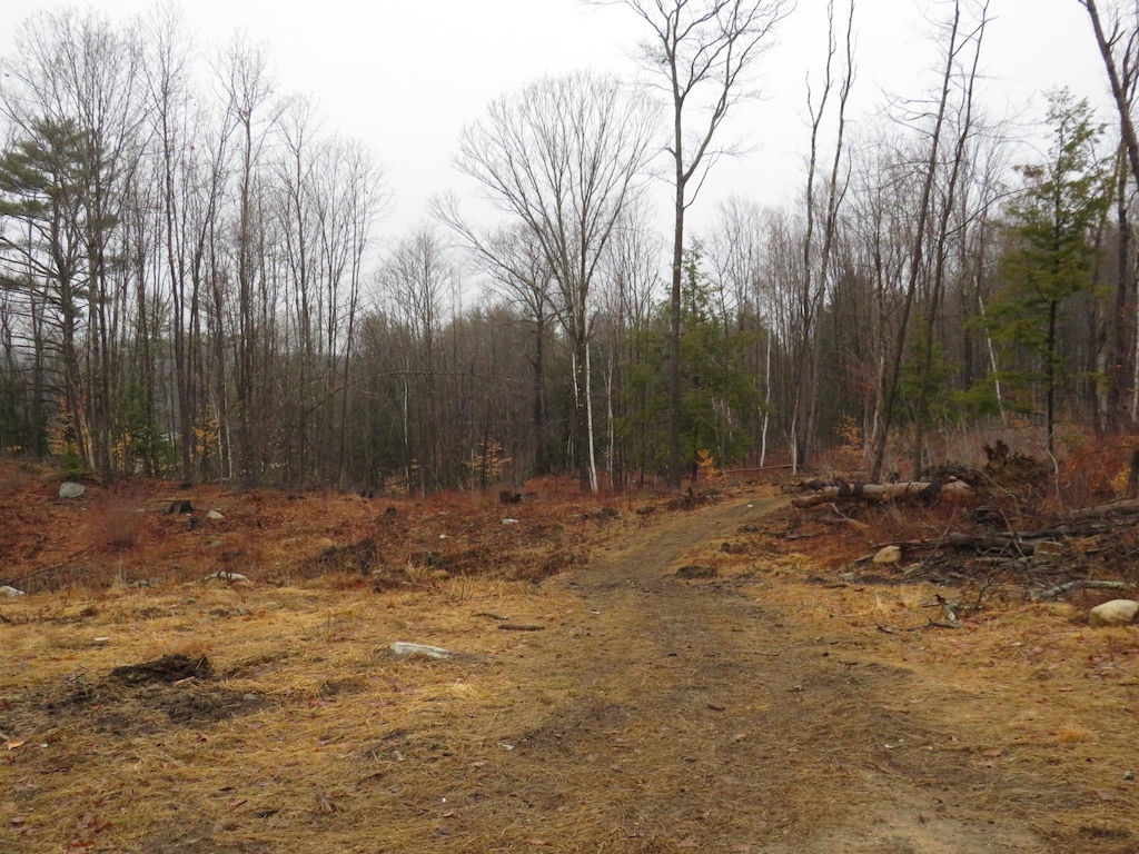 0011245 Parkview St, Newport, NH 03773