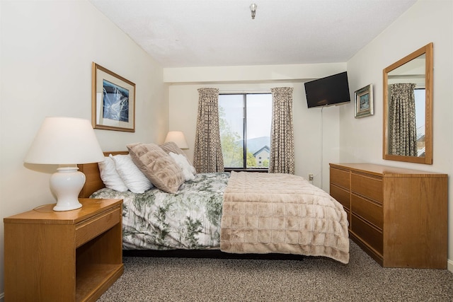 133 E Mountain Rd Unit 3D13, Killington, VT 05751 - view of carpeted bedroom