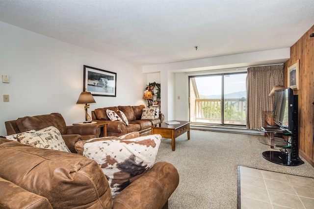 133 E Mountain Rd Unit 3D13, Killington, VT 05751 - living area with carpet flooring and baseboard heating