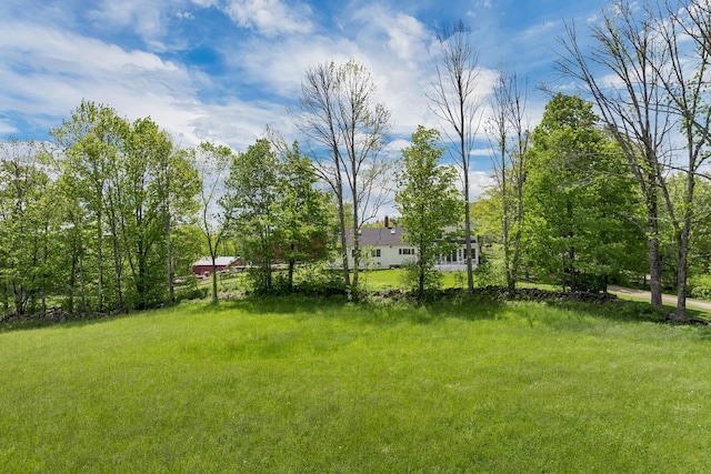 1519 New Boston Rd, Francestown, NH 03043 - view of green lawn