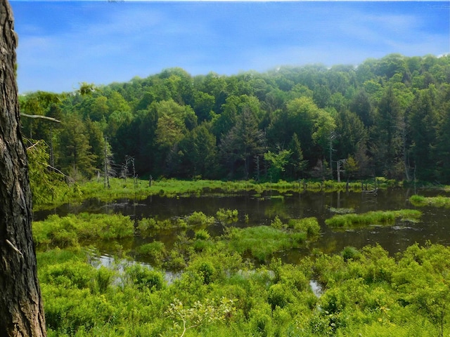74 Wightman Hill Rd, Richford, VT 05476