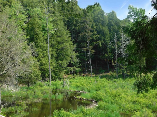 74 Wightman Hill Rd, Richford, VT 05476