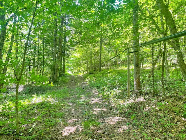 4823 Swamp Rd, Newbury, VT 05051 - view of tree filled area