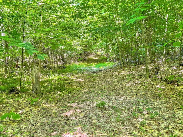 4823 Swamp Rd, Newbury, VT 05051 - view of undeveloped land