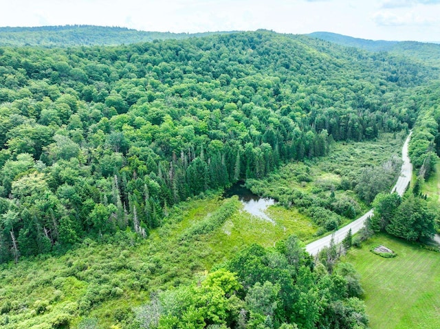 4823 Swamp Rd, Newbury, VT 05051 - view of property location with a heavily wooded area