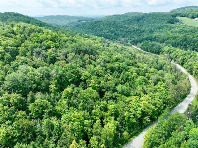 4823 Swamp Rd, Newbury, VT 05051 - drone / aerial view of a forest