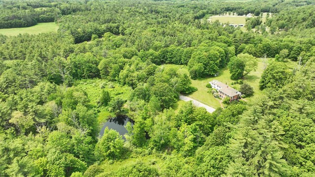 160 Old Stagecoach Rd, Bennington, NH 03442 - bird's eye view of a forest