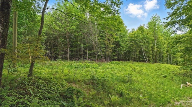 TBD Woodcock Rd, Plainfield, VT 05667