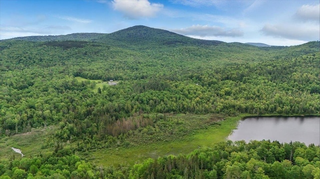 458 Woodcock Rd, Plainfield, VT 05667 - mountain view featuring a forest and a nearby body of water