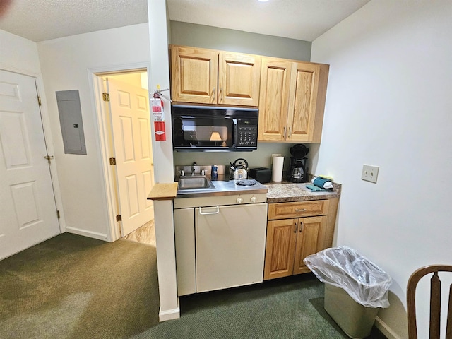 156 Deer Park Dr Unit 127D, Woodstock, NH 03262 - kitchen featuring black microwave, dark colored carpet, electric panel, baseboards, and light countertops