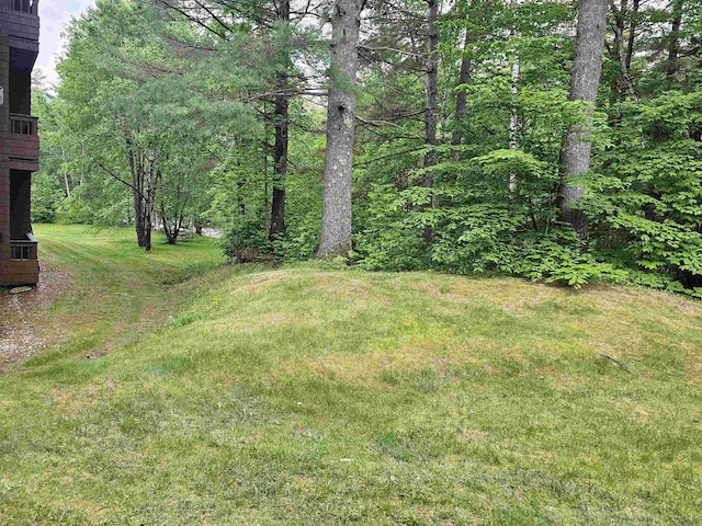 156 Deer Park Dr Unit 127D, Woodstock, NH 03262 - view of green lawn featuring a wooded view