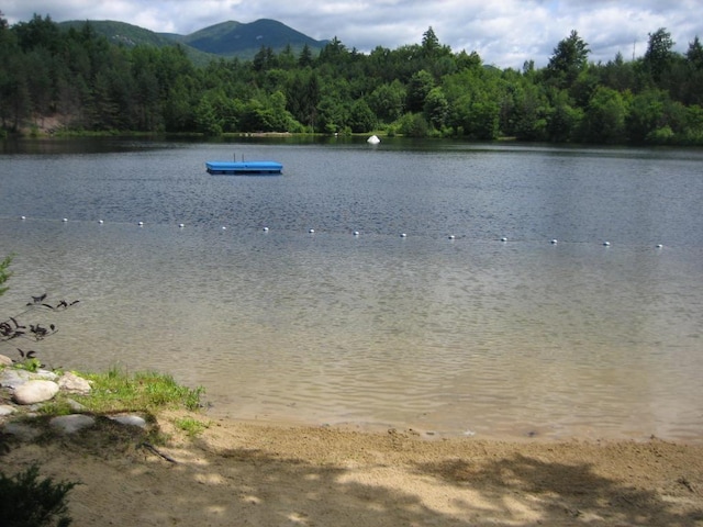 156 Deer Park Dr Unit 127D, Woodstock, NH 03262 - water view with a heavily wooded area and a mountain backdrop