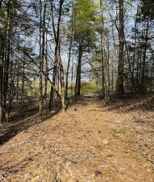 LOTF-84 Mcgettigan Rd, Wilton, NH 03086