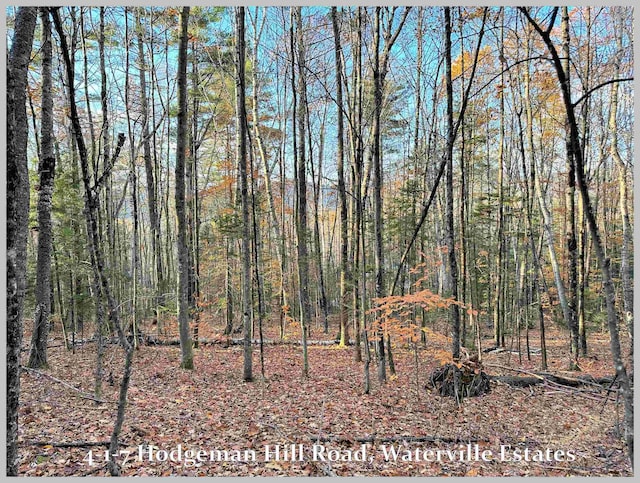 4-1-7 Hodgeman Hill Rd, Campton, NH 03223