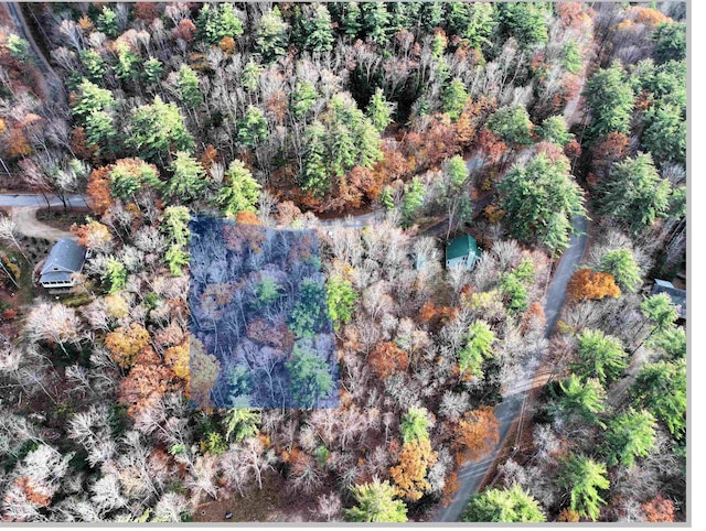 4-1-7 Hodgeman Hill Rd, Campton, NH 03223