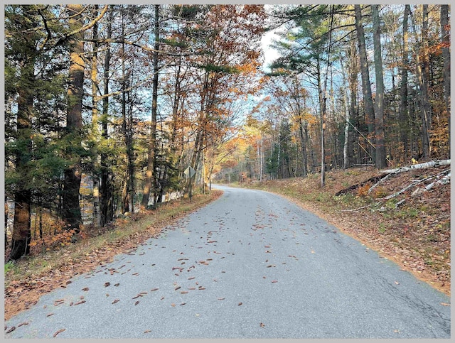4-1-7 Hodgeman Hill Rd, Campton, NH 03223