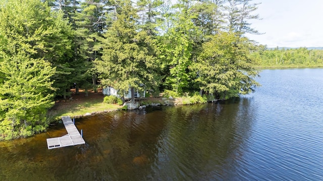 31 Sherene Orchard Rd, Meredith, NH 03253 - water view